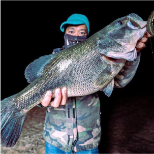 take seeps 琵琶湖