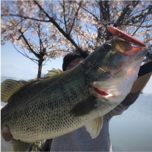 RYO 琵琶湖