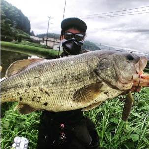 mitsuru kimura 紀州野池、琵琶湖