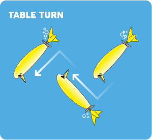 TABLE TURN