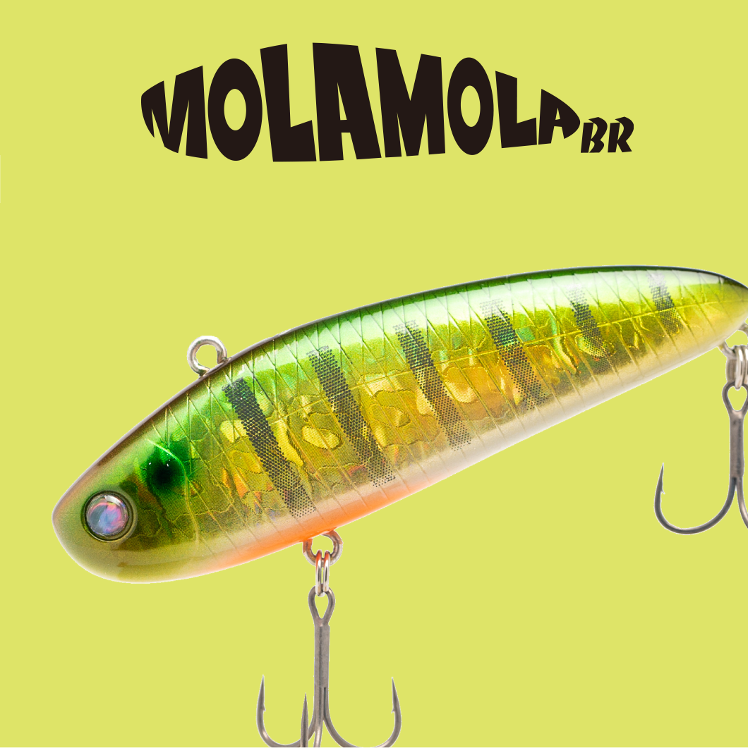 MOLAMOLA BR