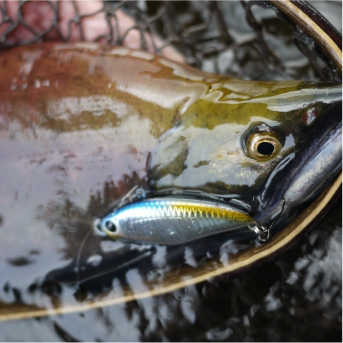釣り人