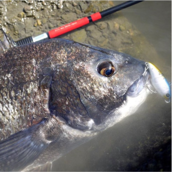 釣り人