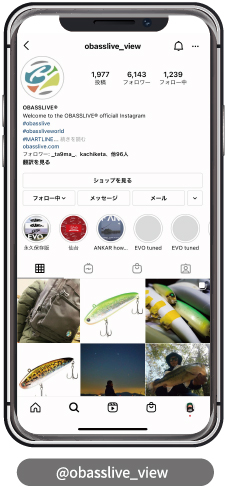 Instagram @obasslive_view